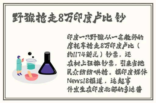 i丁香五月综合