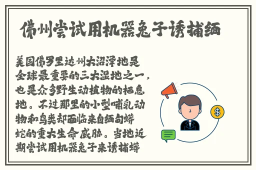 亚洲MV砖码砖区2022